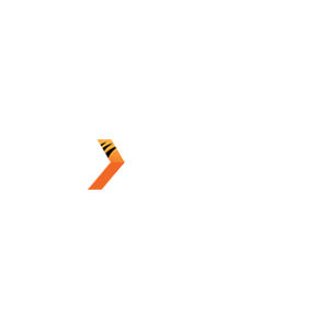 NS_1784107219