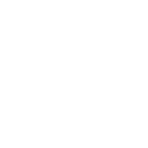 WZD_1784105853
